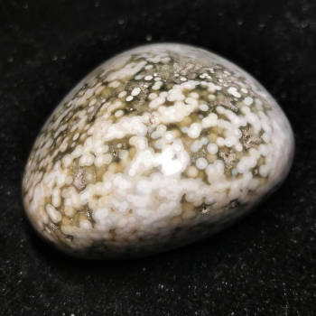 Freeform Orbicular Ocean Jaspis